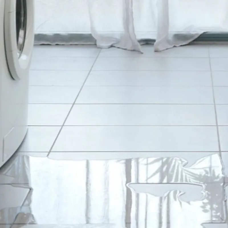 Appliance Leak Cleanup in Graton, CA